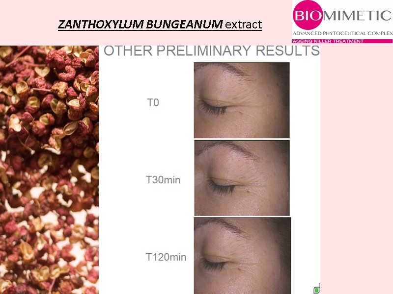 ZANTHOXYLUM BUNGEANUM extract